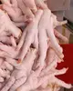 /product-detail/clean-halal-chicken-feet-frozen-chicken-paws-brazil-fresh-chicken-wings-and-foot-for-sale-62006403661.html
