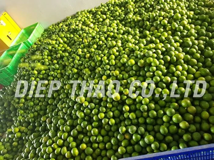 lime_fresh.jpg