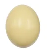 Multi purpose fertile Ostrich eggs for sale