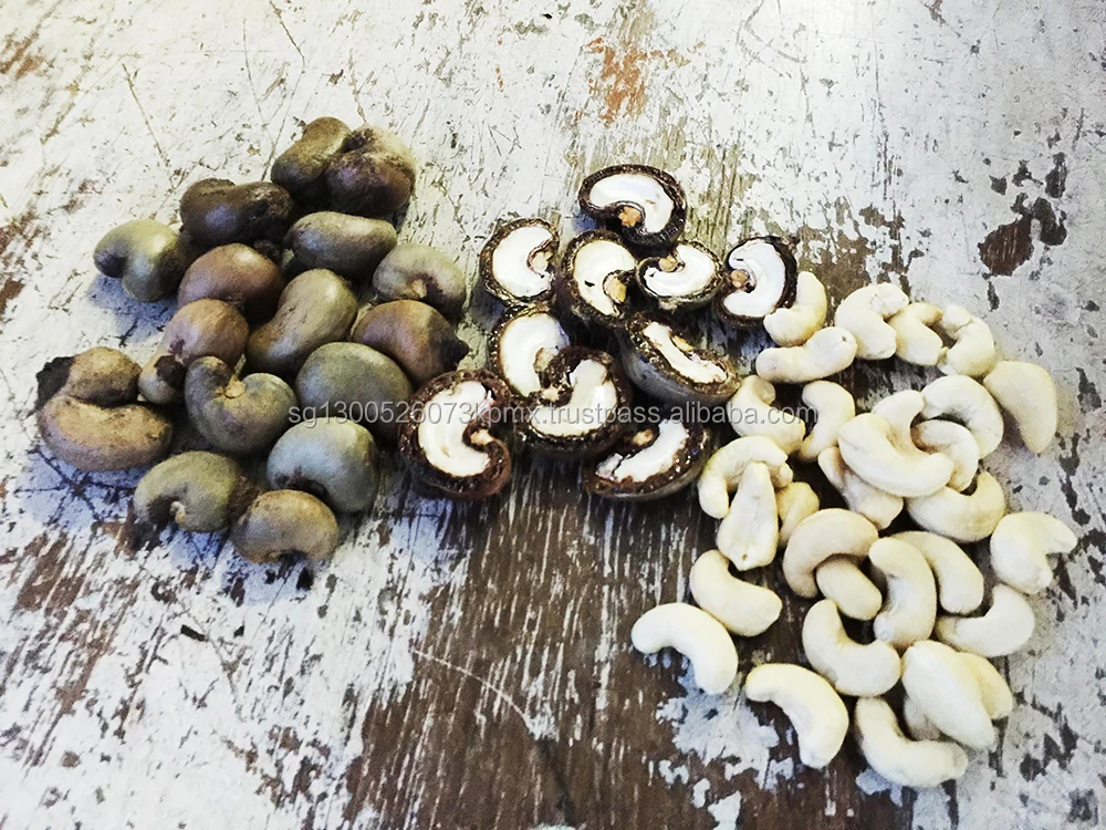 Raw Cashew1000p X 1000p.jpg