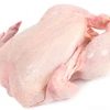 /product-detail/brazilian-halal-frozen-whole-chicken-and-chicken-parts-premium-supplier-62000648295.html