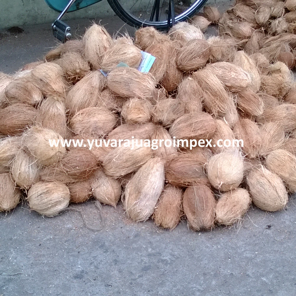 Fresh Semi Husked Coconut Exporters In India To New Zealand / Ghana