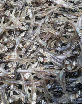 dried, boiled anchovies with all sizes, head/ headless from duy