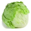 Iceberg Lettuce best price boxes