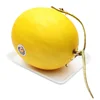 YELLOW HONEYDEW MELON