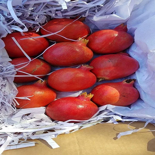 Pomegranate1.jpg
