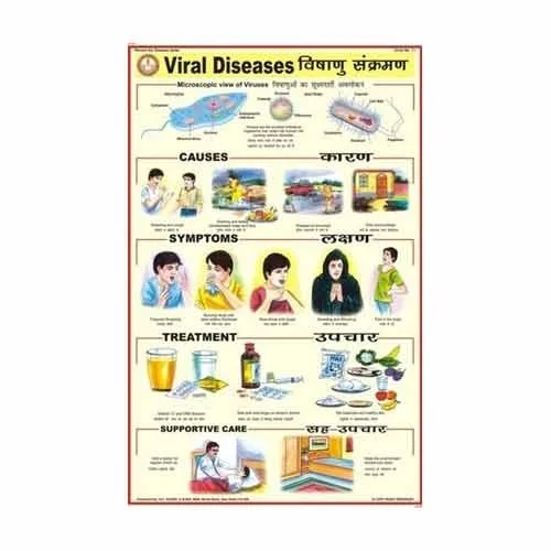 viral disease chart.jpg