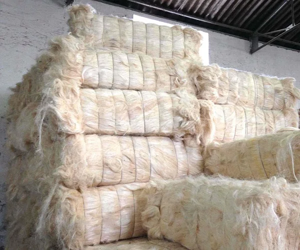 Best Price And Offer Premium Grade Of Sisal Fiber From Kenya Available Product From Thailand Manufacture