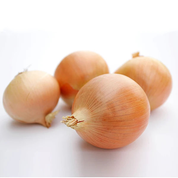 Fresh Onion2.jpg