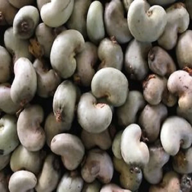 raw cashew nut price in ghana