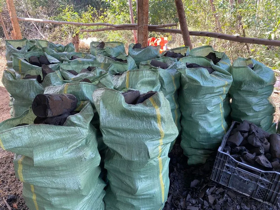 100 Natural Mangrove Wood Vietnam Mangrove Charcoal/ Wood Charcoal Bbq