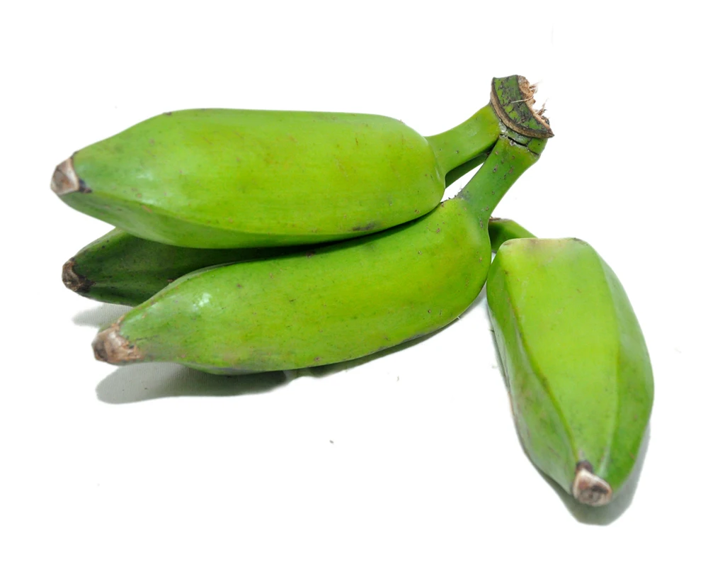 Fresh Wholesale Hygienic Raw Banana Ceylon Curry Banana Plantain 