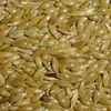 /product-detail/quality-canary-seed-62016817486.html