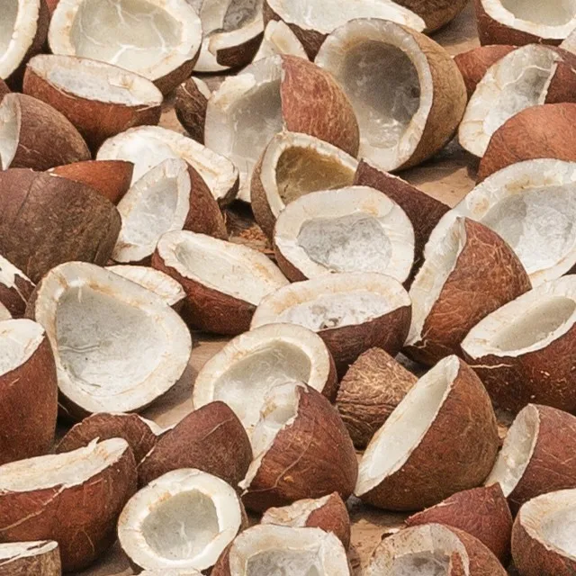 所有行业 食品和饮料 水果制品 干果详细图片 产品名称 椰子干 供应