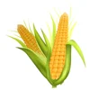 /product-detail/ukraine-wholesale-for-animal-feed-fodder-corn-62009504099.html