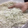FISH SCALES FROM VIETNAM- Ms. Ally +84912438547