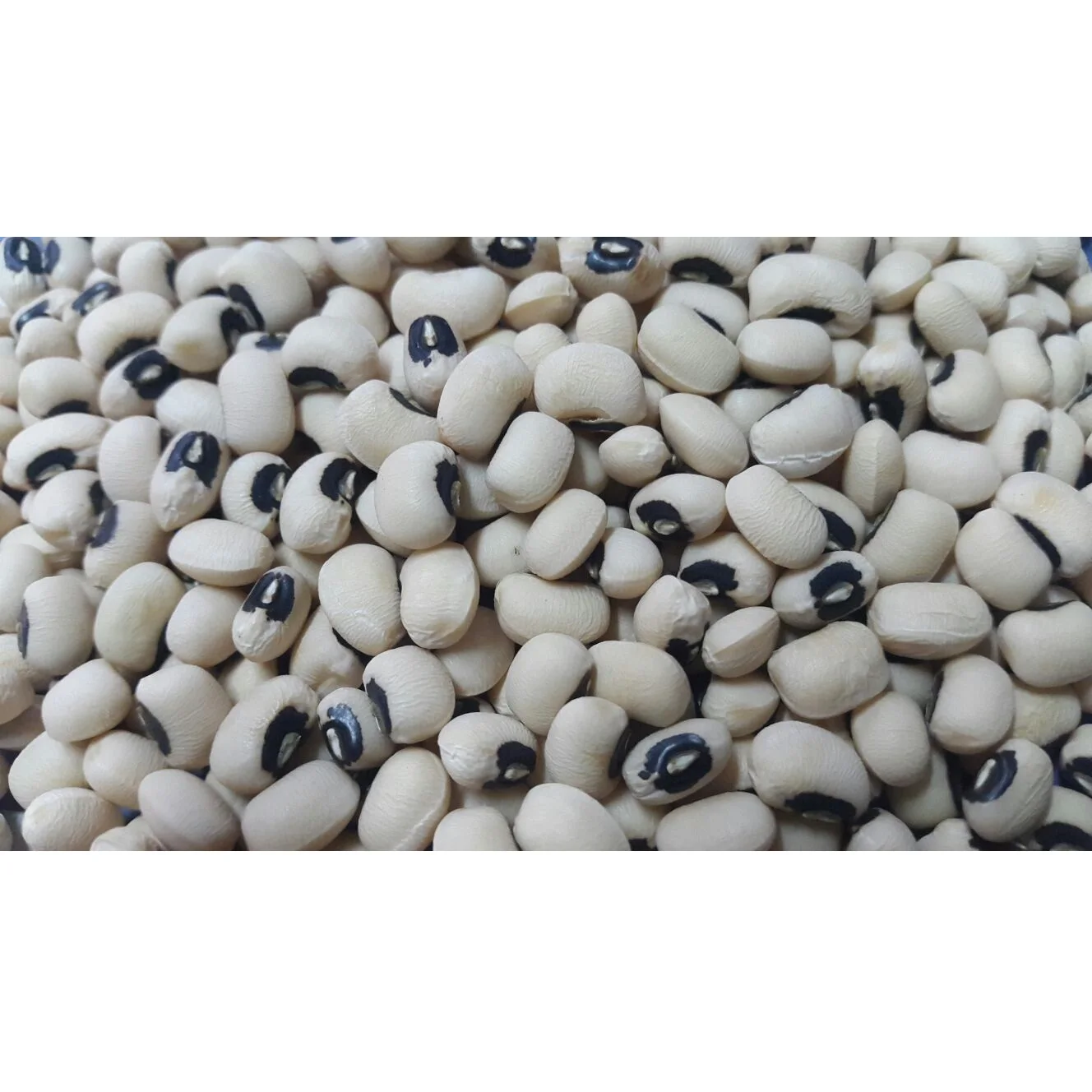 
Wholesale 14% Moisture 25kg Vigna Beans Cowpea Black Eyed Beans from Myanmar 