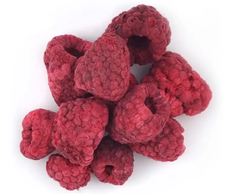 C-RASP-1024x1024.jpg