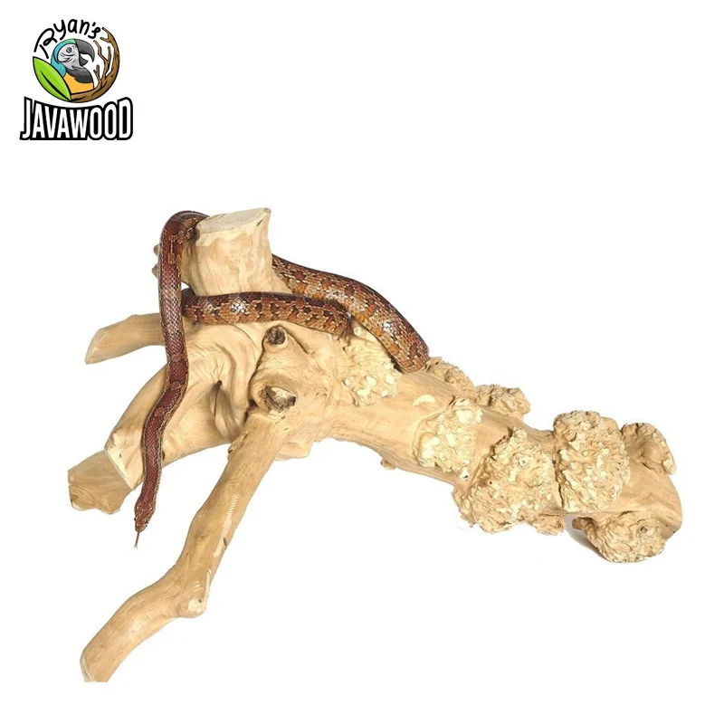 Reptile Terrarium Wooden Dish Climbing Javawood Branches For Basking
