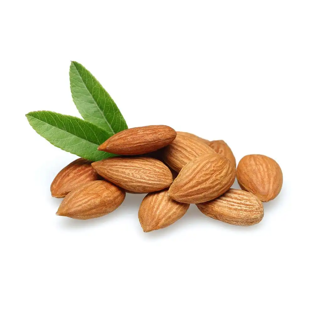 Organic Almond Nuts/top Grade Almond Nuts/raw Natural Almond Nuts For