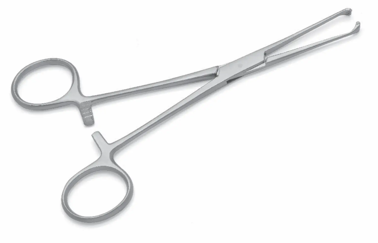 Allis Tissue Forceps The Basis Of Surgical Instruments Tissue Grasping