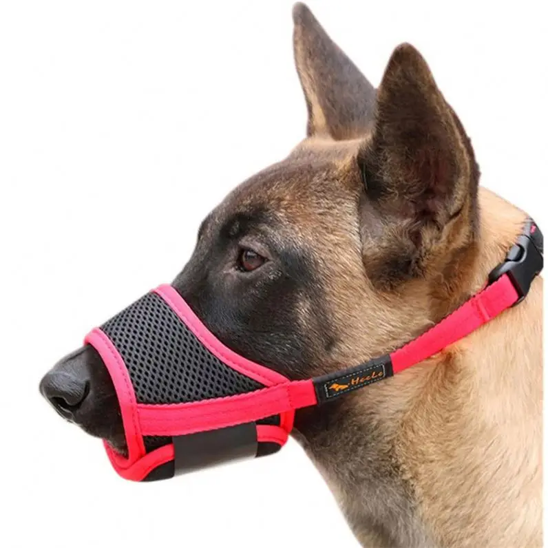 bane dog muzzle for sale