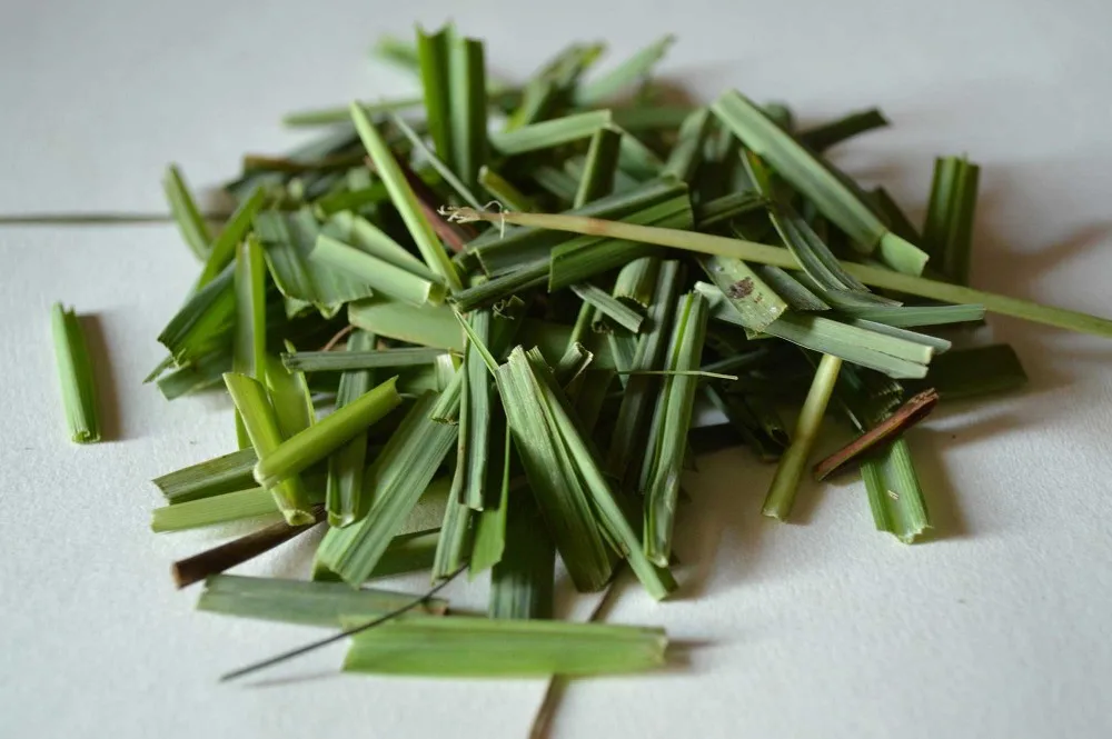 Dried Lemon Grass/citronella Tea From Vietnam For Export Buy Vietnam Green Tea,Dry Lemon Grass