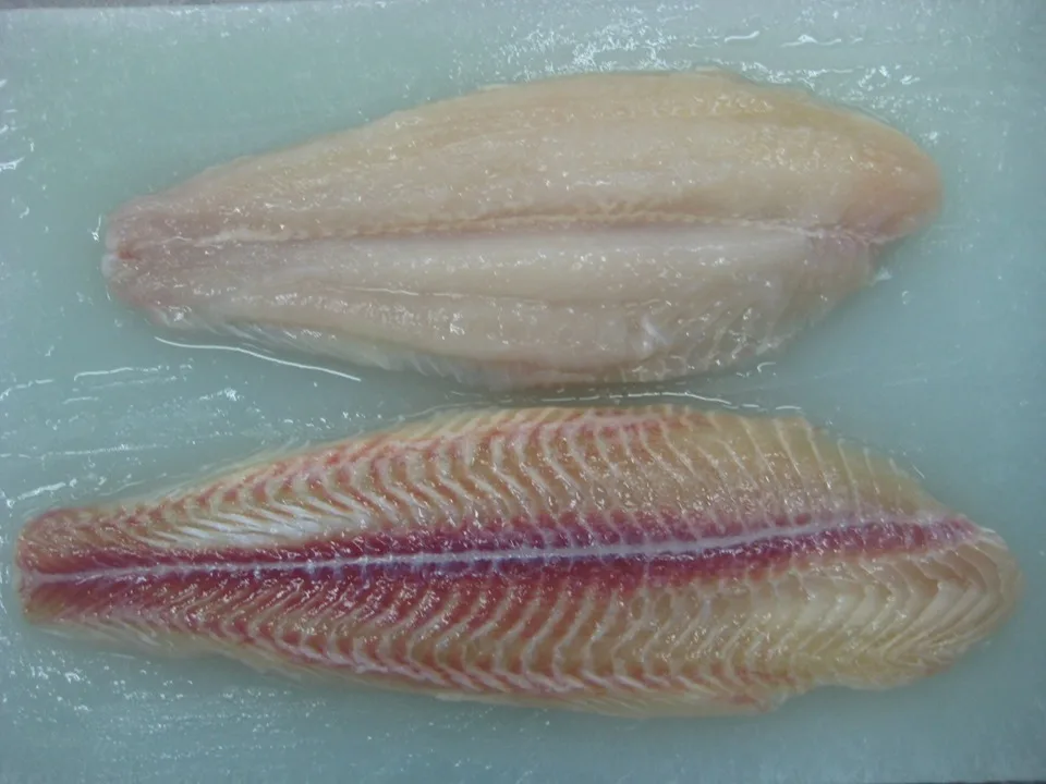 frozen pangasius fish fillet