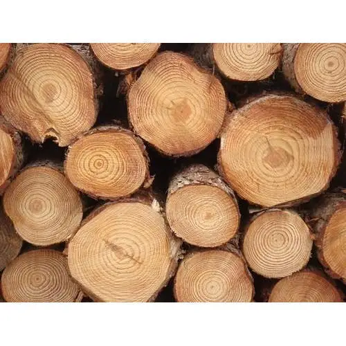 pine-wood-logs-500x500.jpg