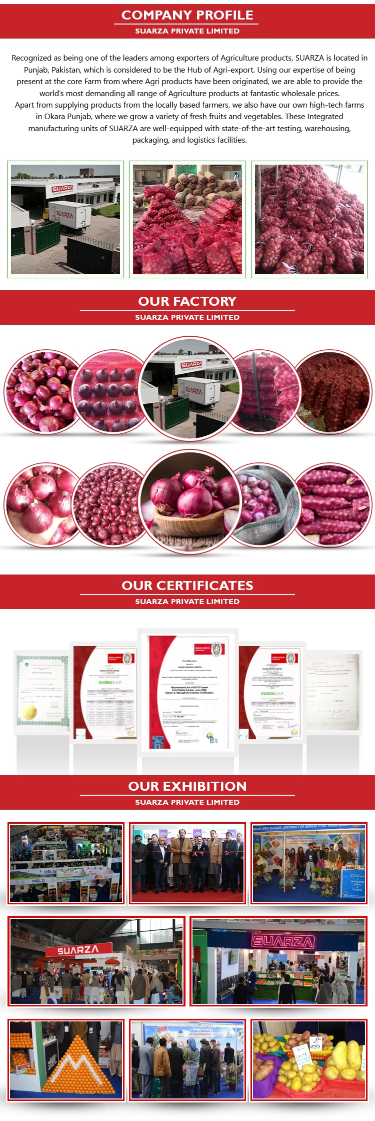 PROFILE PAGE onion.jpg