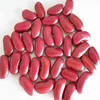 AFFORD-TABLE Wholesale New Crop Dark Red Kidney Beans