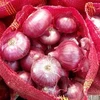 /product-detail/fresh-onion-price-india-for-sri-lanka-62016109410.html