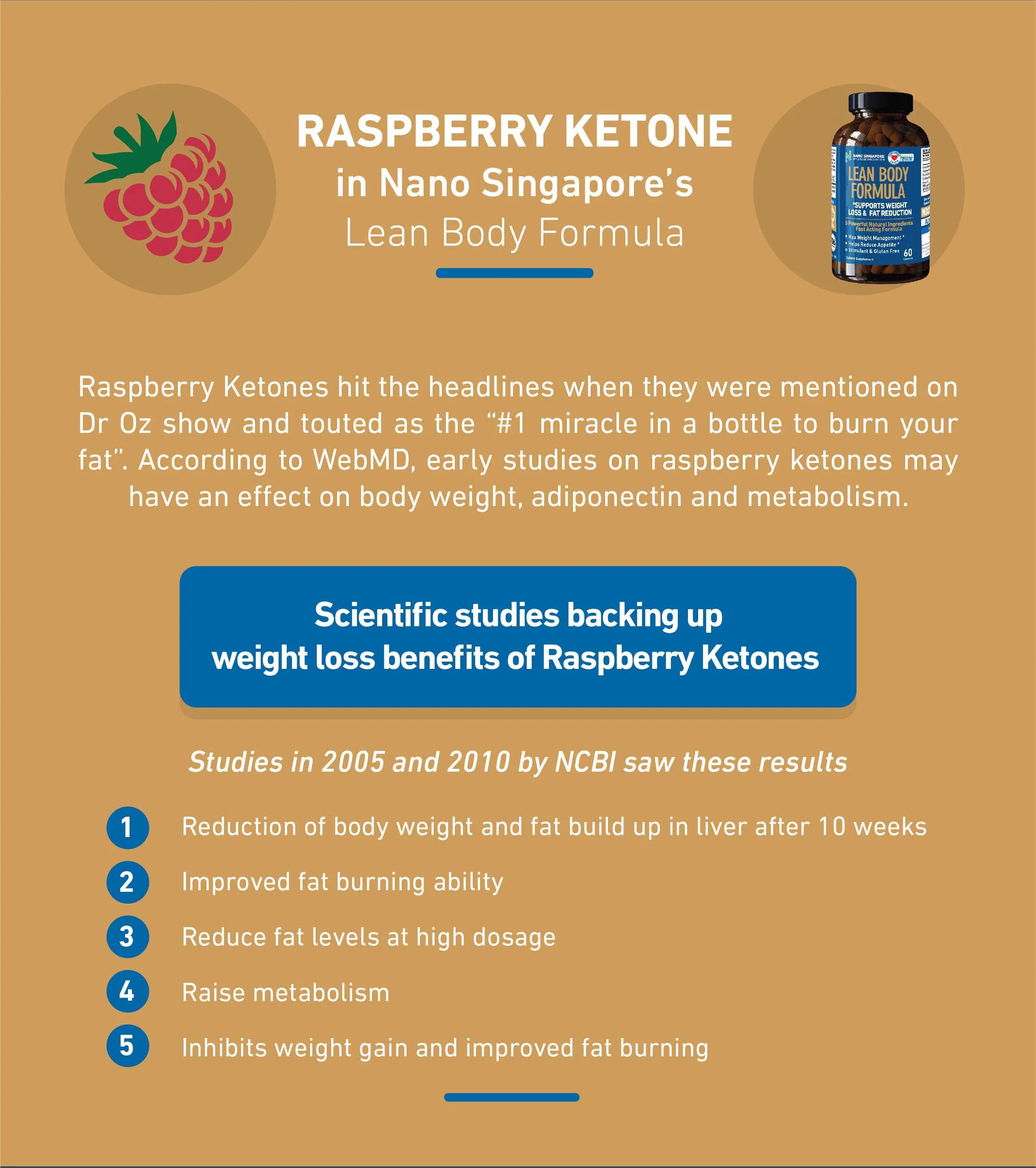 fat burner webmd pierderea în greutate abdomenul a dispărut