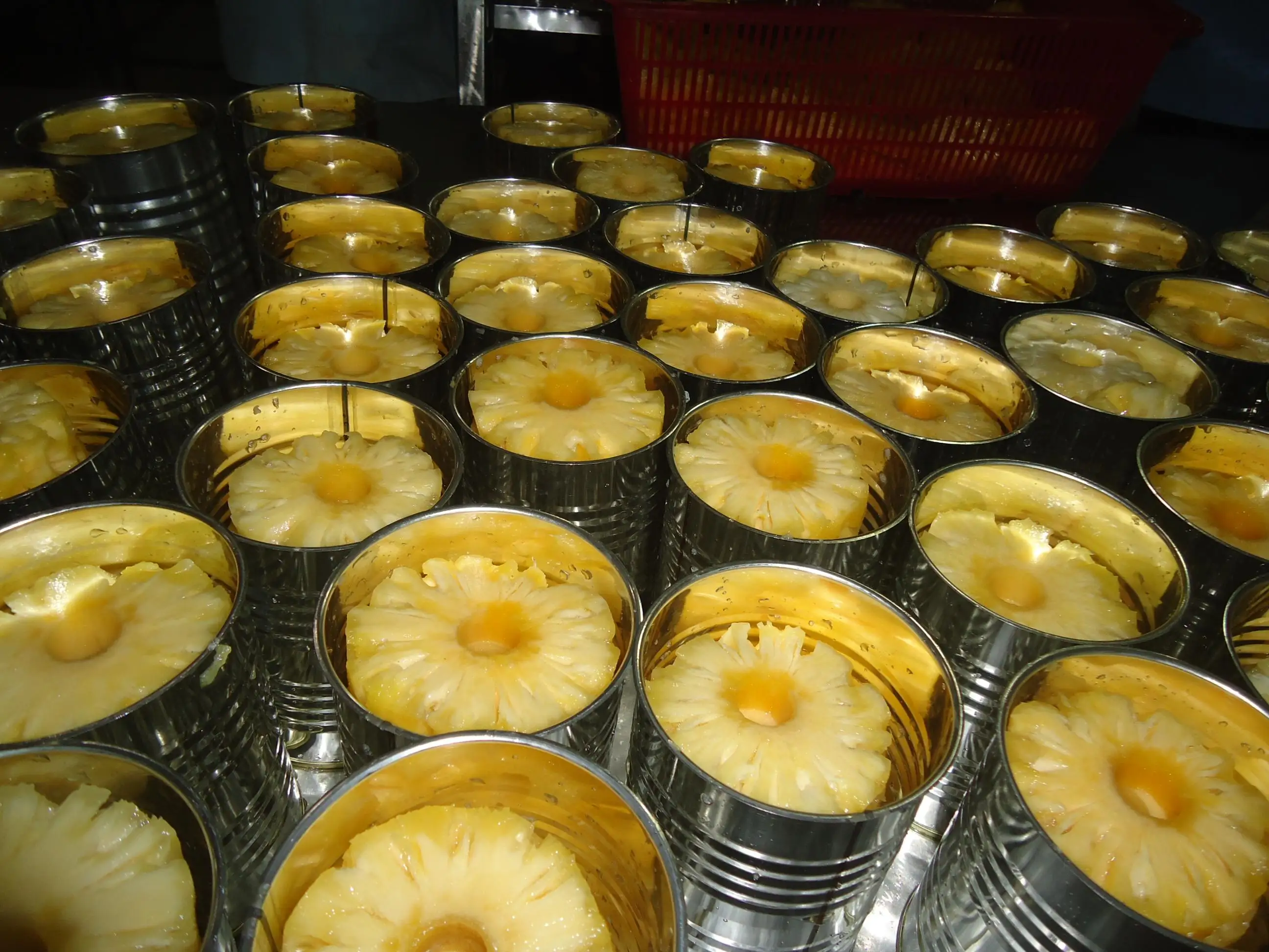 Copy of Canned Pineapple Canned Fruits Cheap Price From Vietnam
