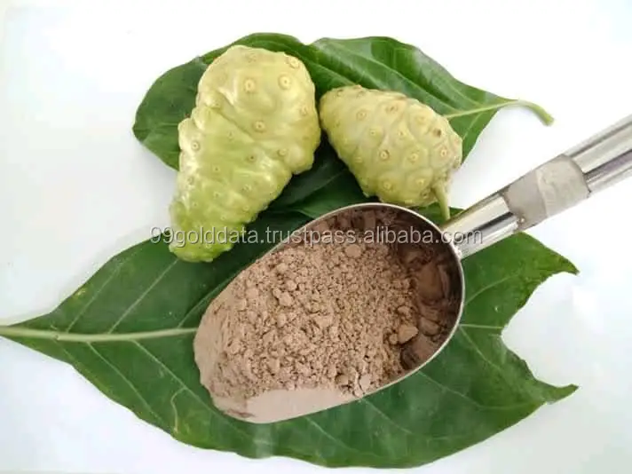 Wholesale Frozen Noni Fruit Dried Noni Fruit At Low Prices Hot Deal Buy Dried Noni Fruit