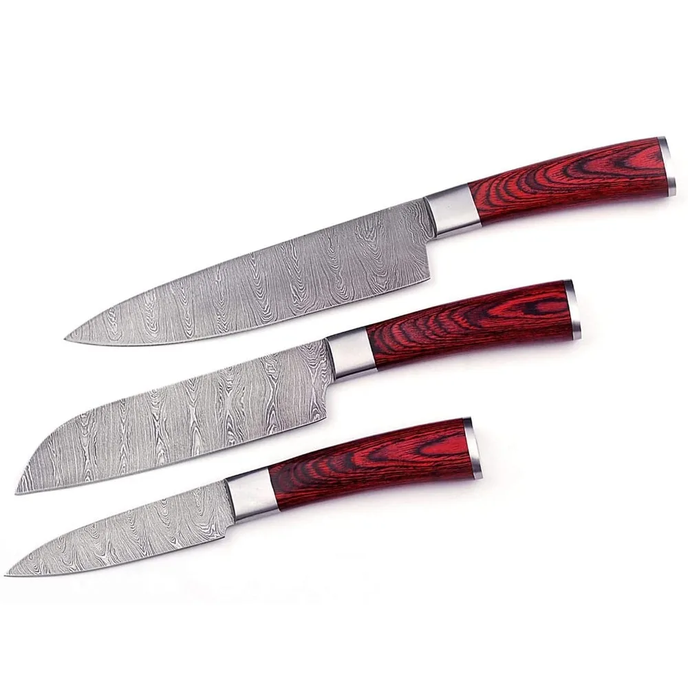 3 Pcs Kitchen Knives Set Japanese Damascus Steel Kitchen Knife Vg10