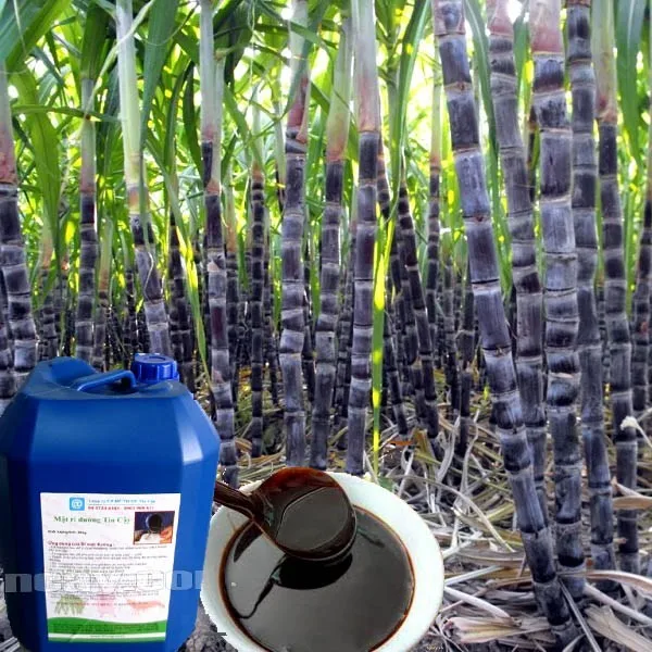 Wholesale Price In Bulk   Sugarcane Molasses  Brown Liquid Blackstrap 