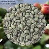 Green Coffee Beans Robusta from Indonesia