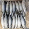 /product-detail/frozen-fresh-grouper-fish-fresh-hake-fish-fresh-hilsa-fish-for-sale-50038913780.html
