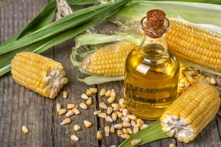 quality pure corn oil , refined corn oil