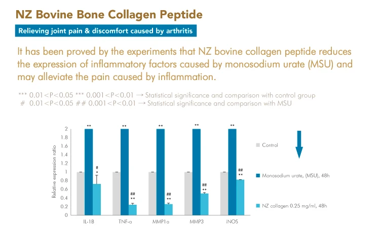 HNC_Peptide_Drink-03