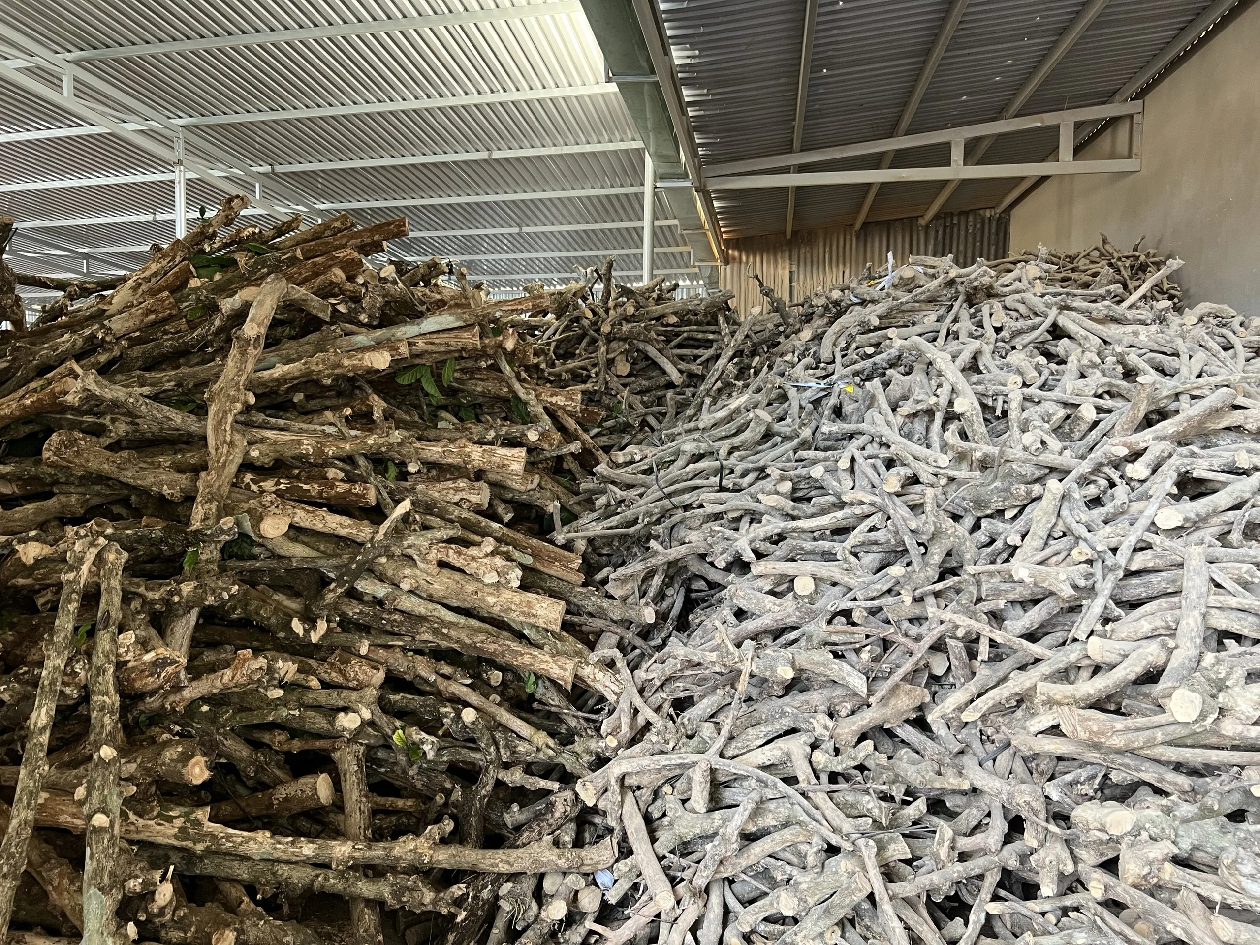 Natural Coco Chew Toy Coconut Husk Rope Natural Dog Toy For Pets