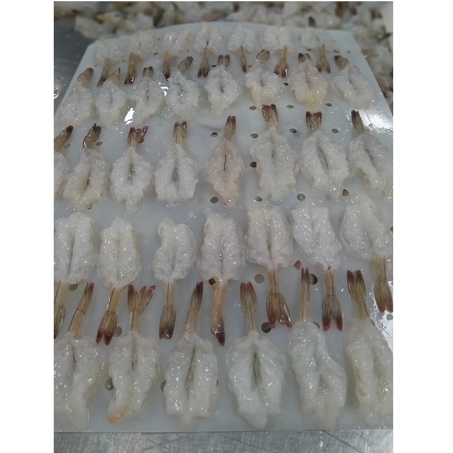 
High quality frozen butterfly shrimp/ Vannamei shrimp and black tiger shrimp 