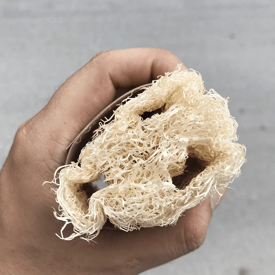 Natural Loofah/ Natural Hotel Disposable Loofah From Viietnam Buy