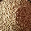 UKRAINIAN/ Russian Origin Milling Wheat (13.5 Protein)