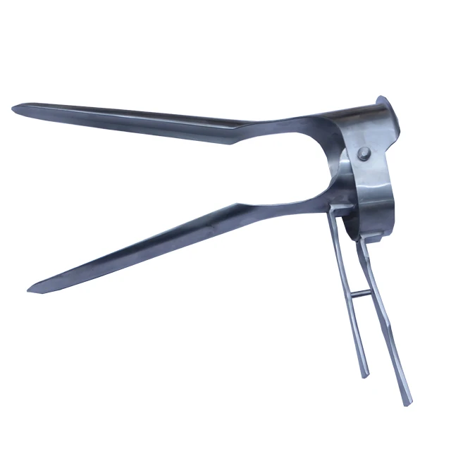 Instrumentos Musicais Cuja Geometria é Baseada Nas Formas Da Corneta. Download S