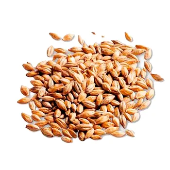 premium barley for malt/barley feed/ malted barley animal feed