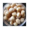 Best Quality Australian Macadamia Nut Kernel Style 0