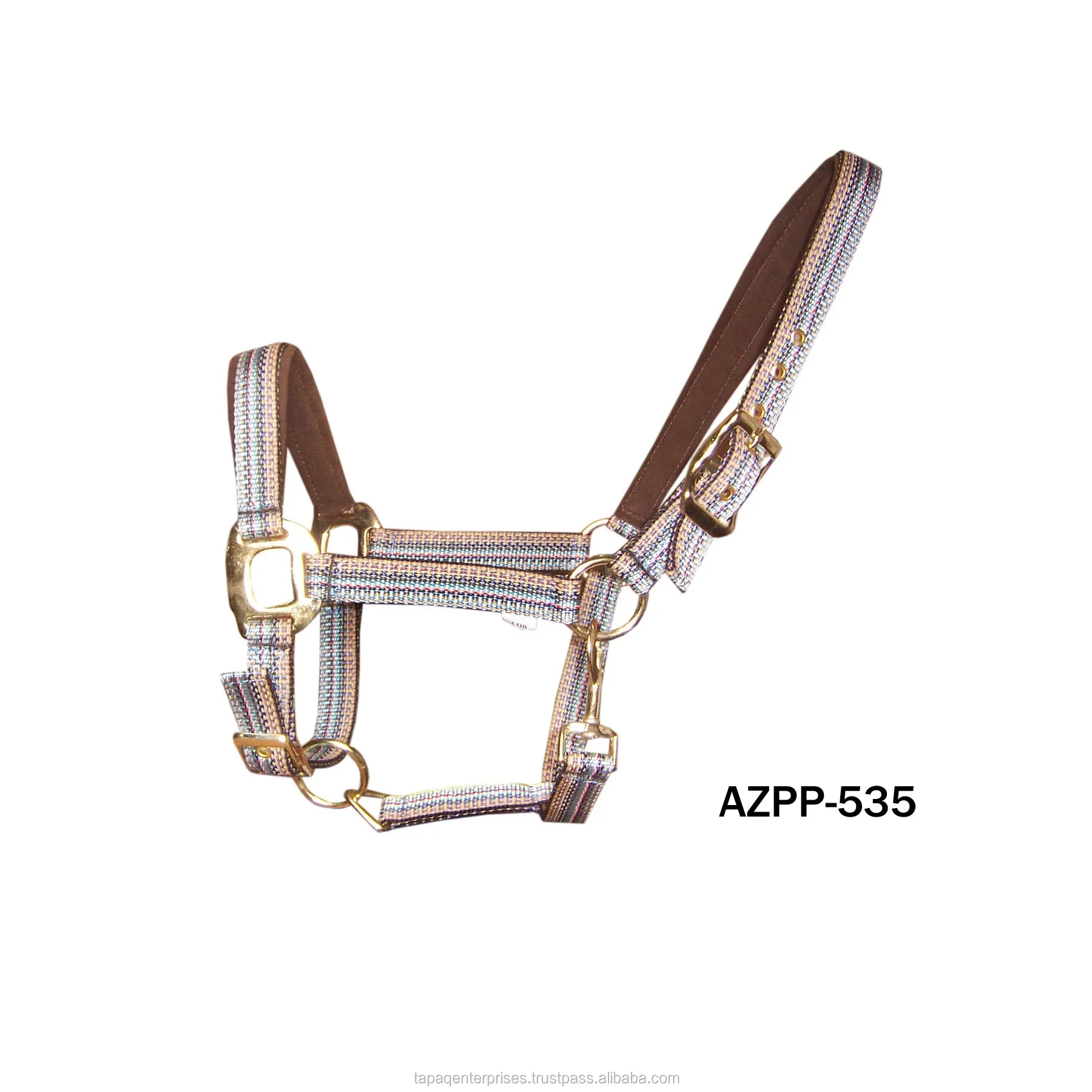 AZPP 535.jpg