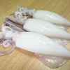 Cleaned whole Frozen squid for sale